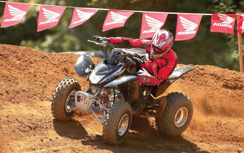 Honda TRX 250