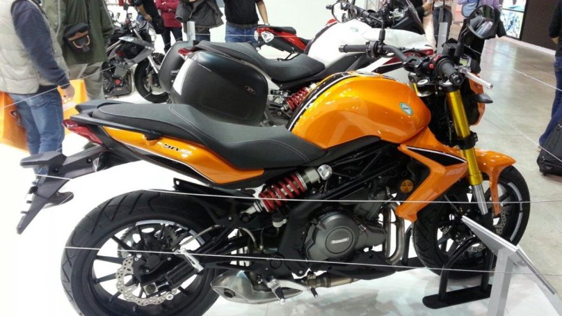 Стелс Бенелли 300