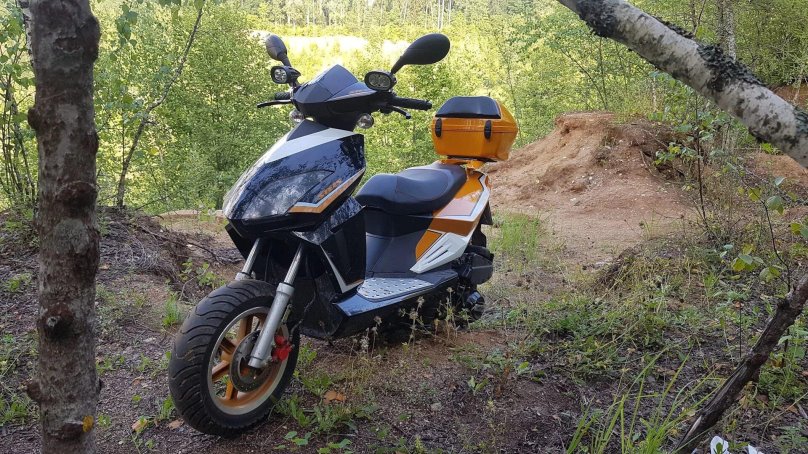 Стелс Вортекс 50