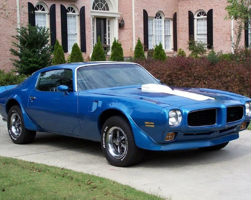 Пантиан Фаир Берд