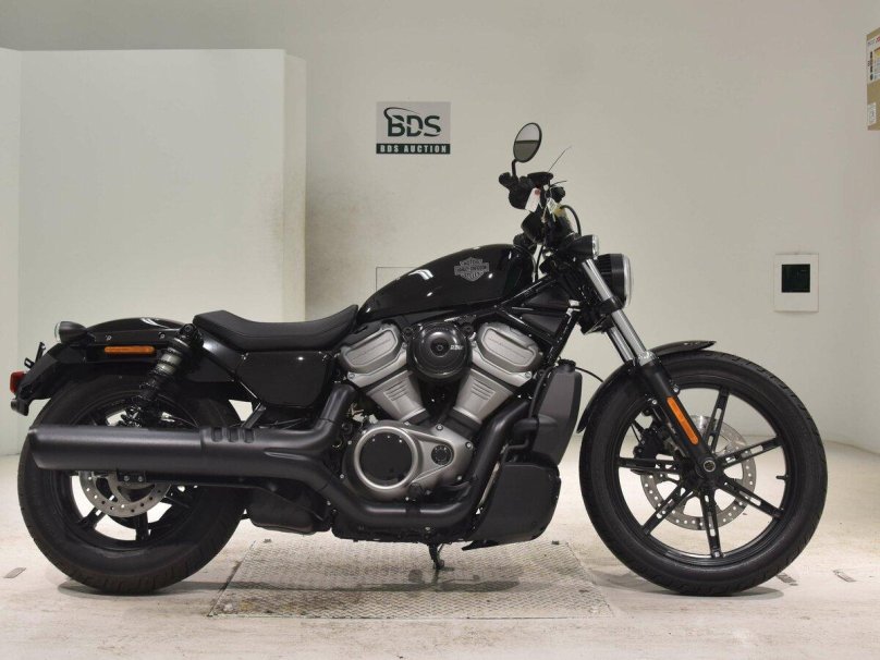 Harley Davidson Nightster 2023