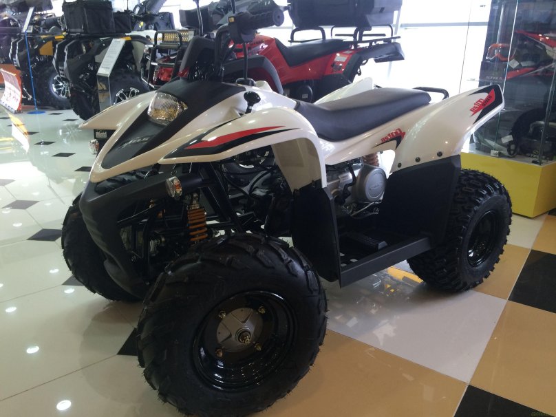 Stels atv 100