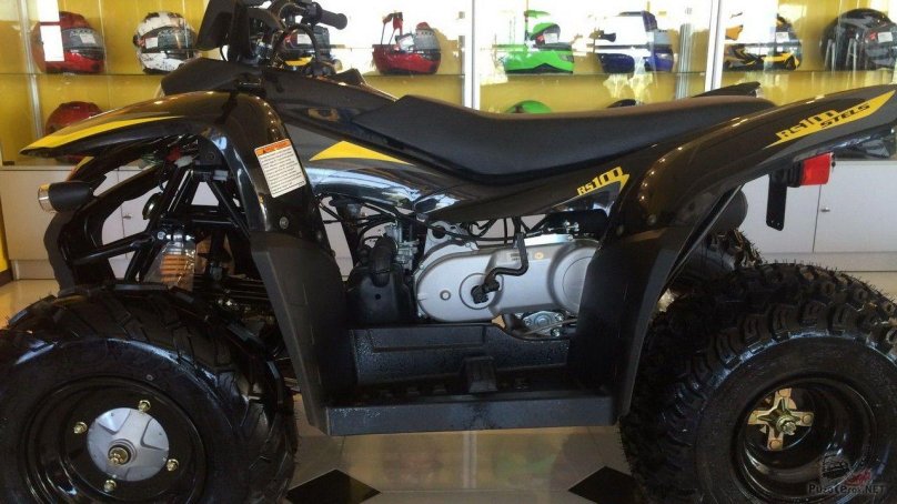 Квадроцикл стелс РС 100