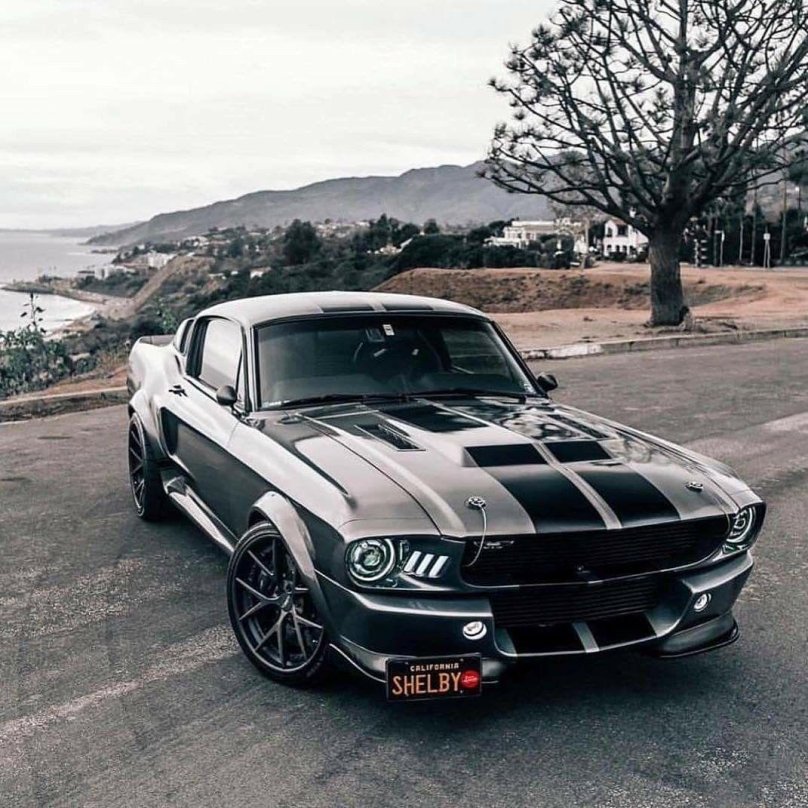 Форд Мустанг Шелби gt 500