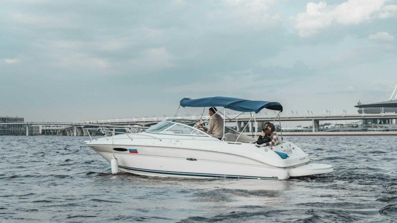 Катер сиа Рей 325 2007 г