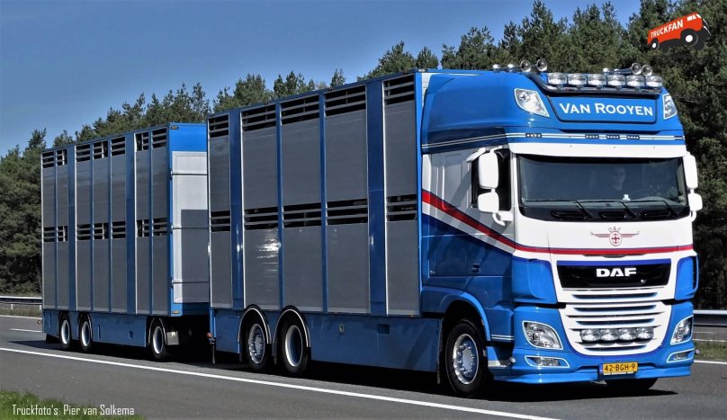 DAF XF 106