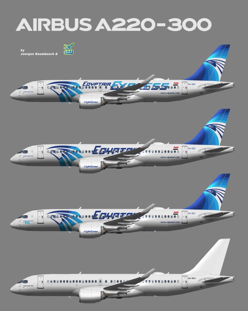 Аэробус 220-300