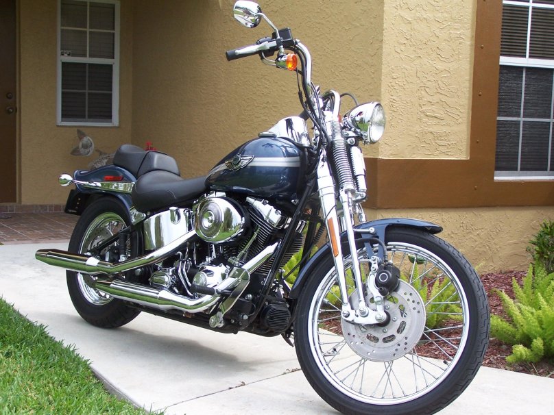 Харлей софтейл спрингер