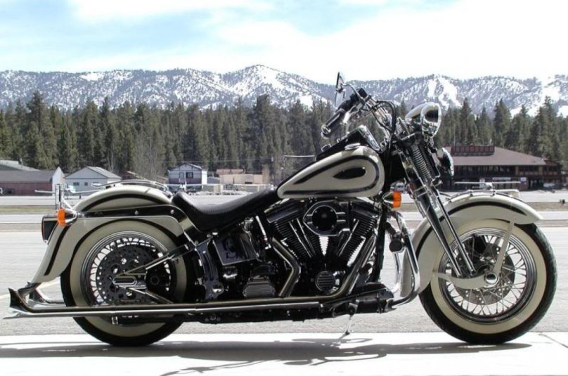 Harley Davidson Softail Springer