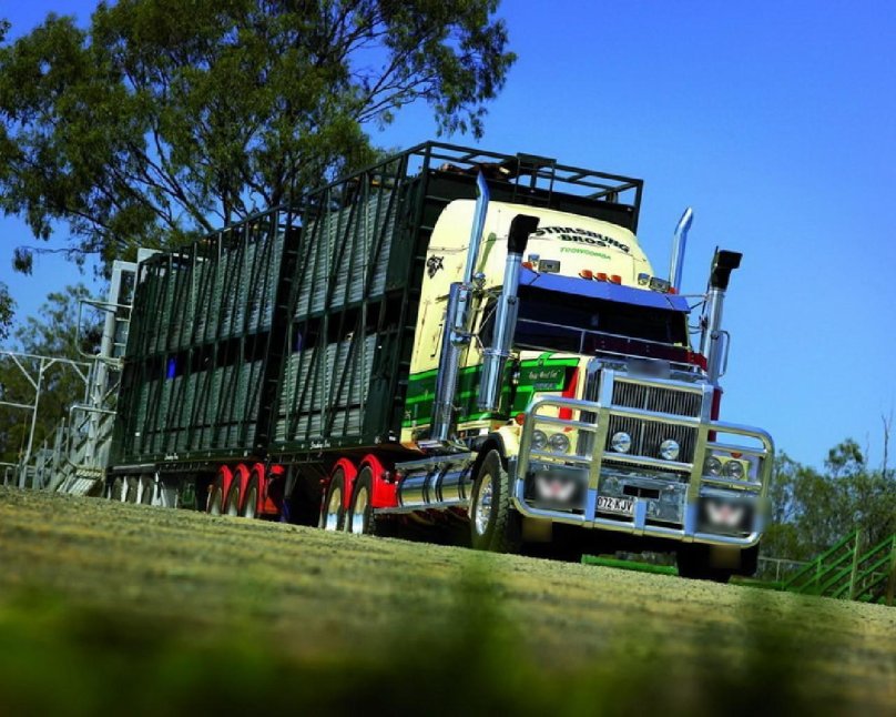 Тягач White Western Star 4800