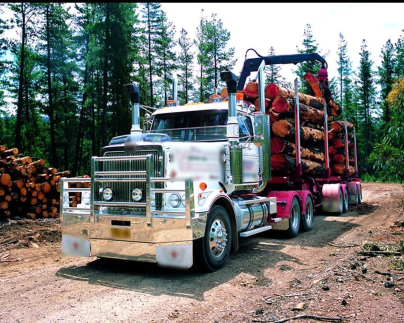 Western Star 4900 лесовоз