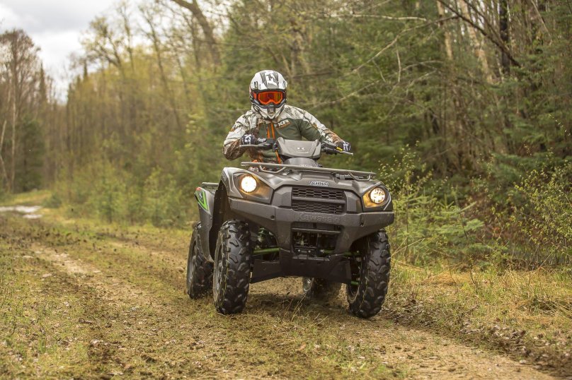 Kawasaki Brute Force