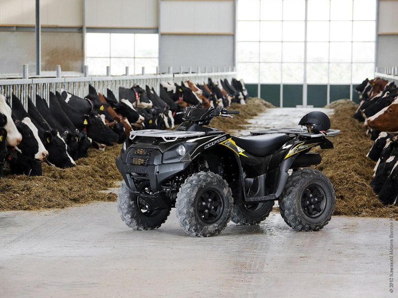 Kawasaki Brute Force KVF 750 4x4i eps