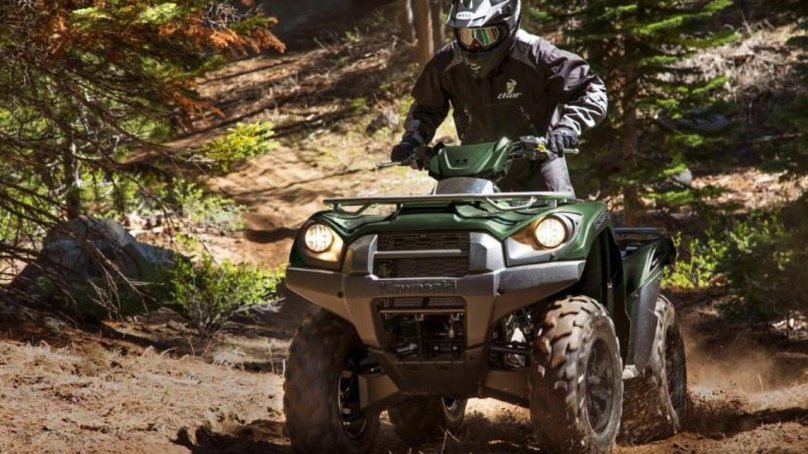 Kawasaki Brute Force 750