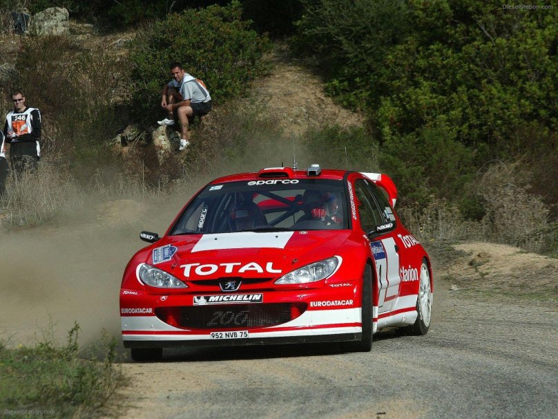 Peugeot 206 WRC 2003