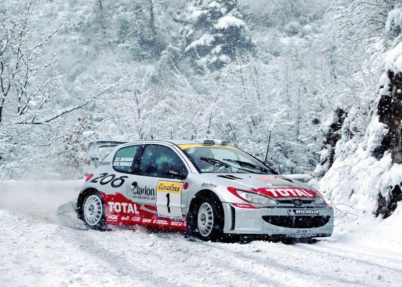 Peugeot 206 Rally car