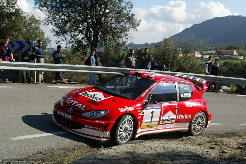 Peugeot 206 Rally car