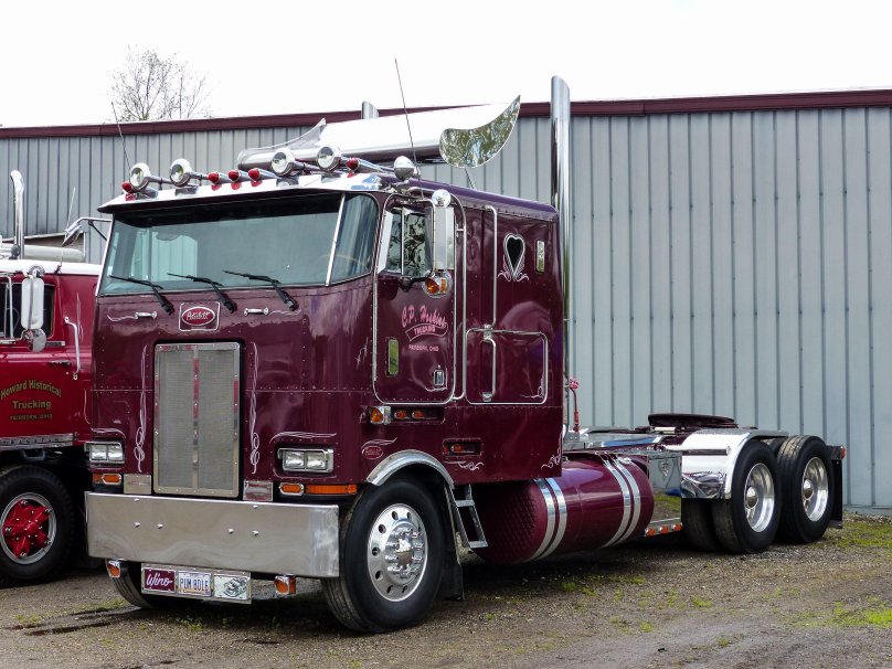 Петербилт 369