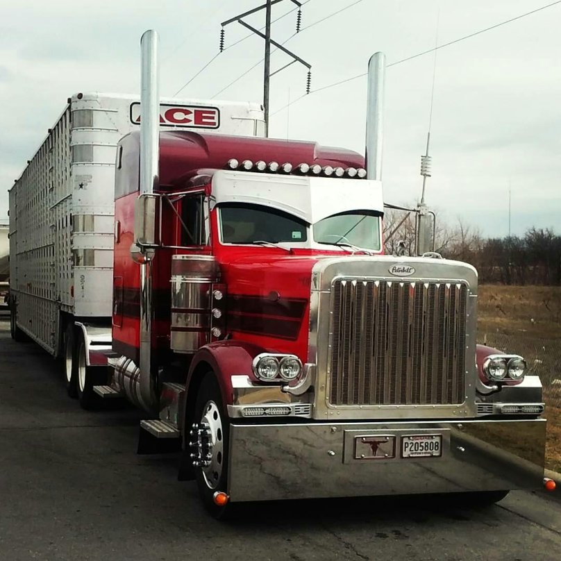 Peterbilt 379 Custom