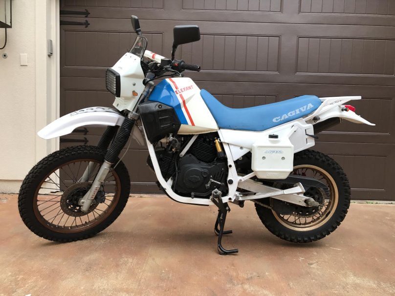 Каджива Элефант