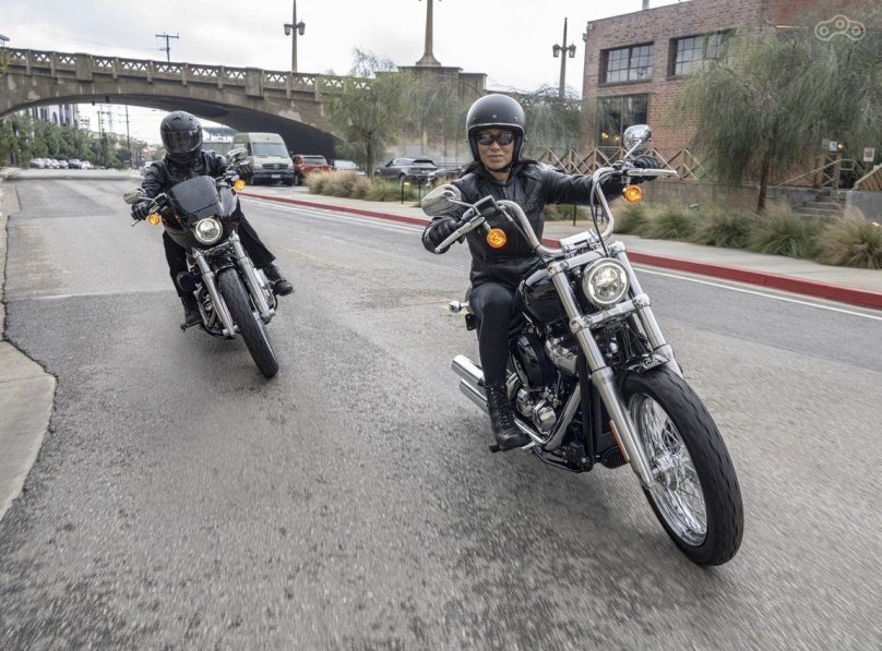 Softail Standard 2021