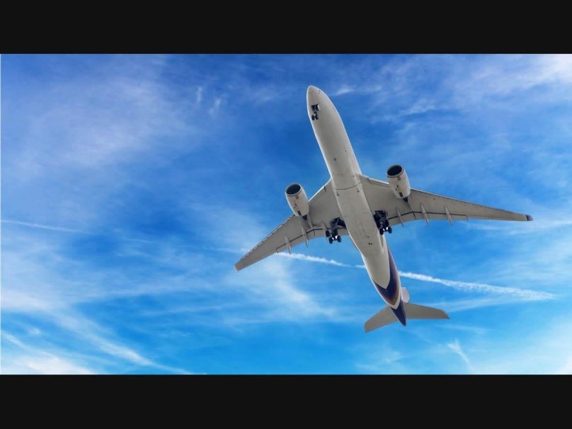 Turbulence: Airplane Survival Simulator