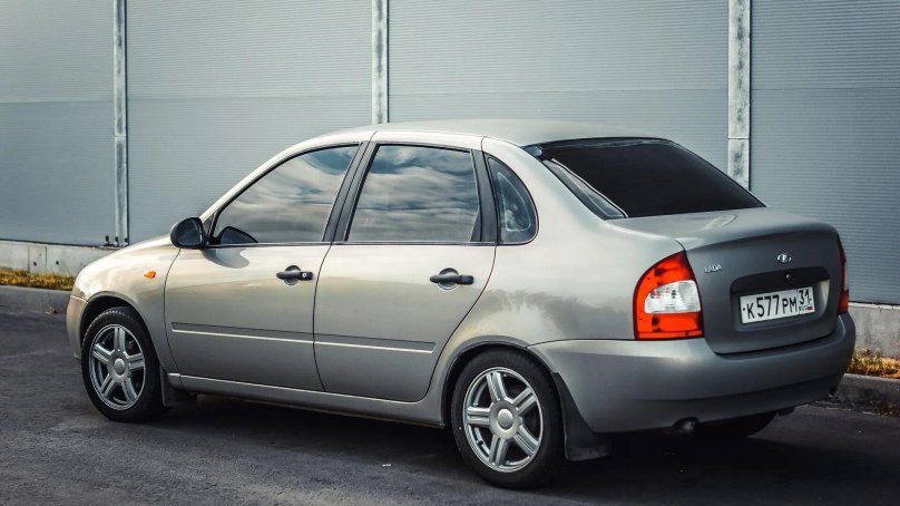 Калина 1 цвет Мускат