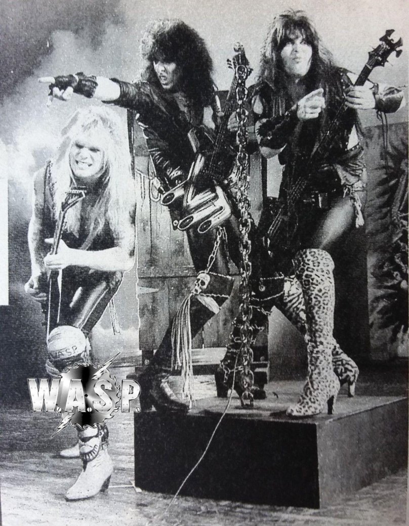Wasp 1984