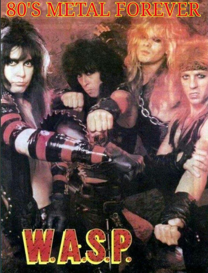 Wasp Band
