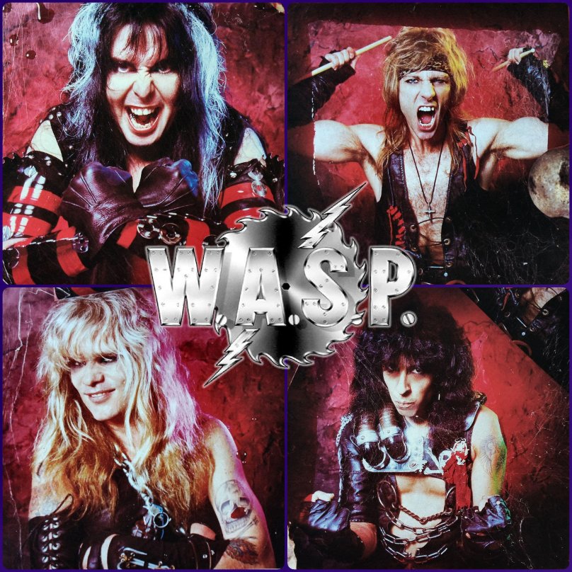 Васп группа