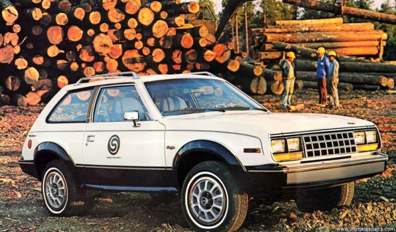 AMC Eagle 1981