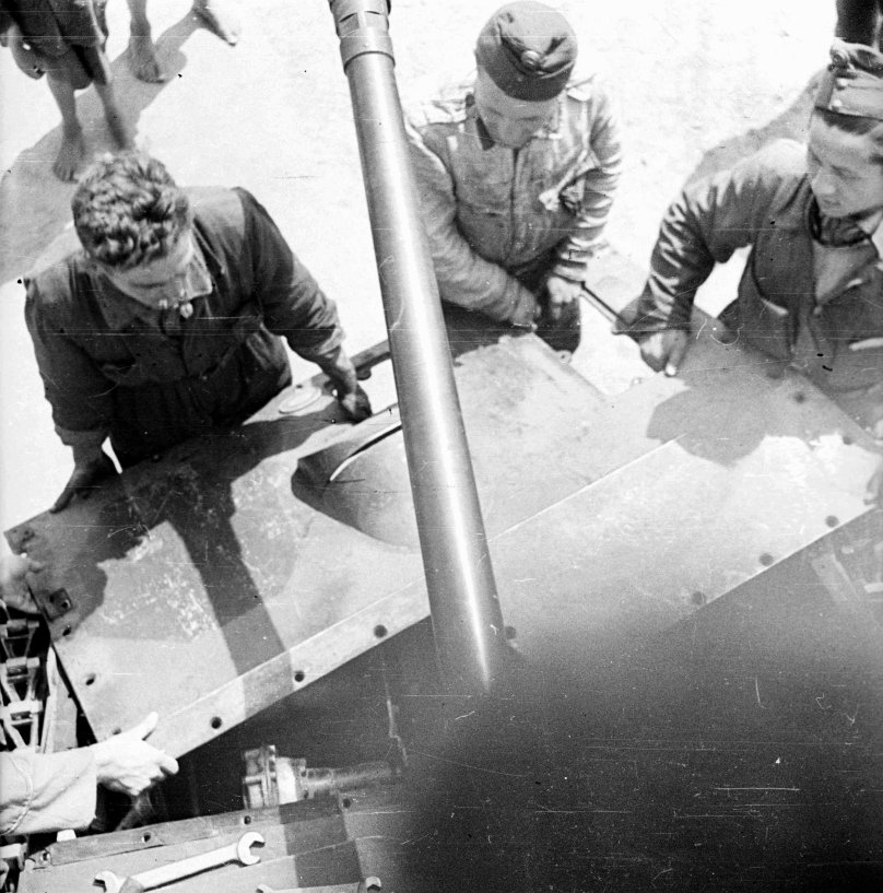 Нимрод самолет разведчик