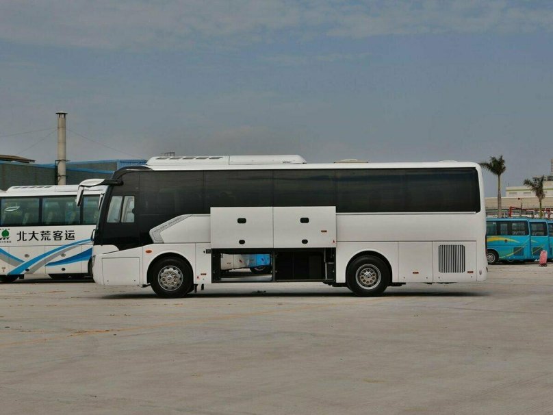 Голден драгон 6957