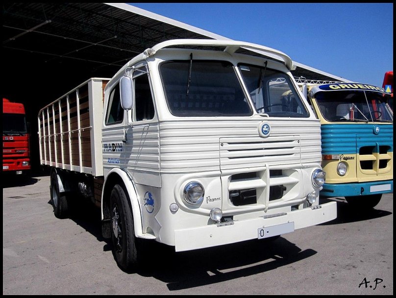 Pegaso 1063