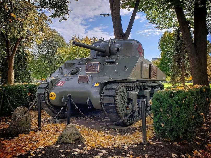 Танки Канады современные