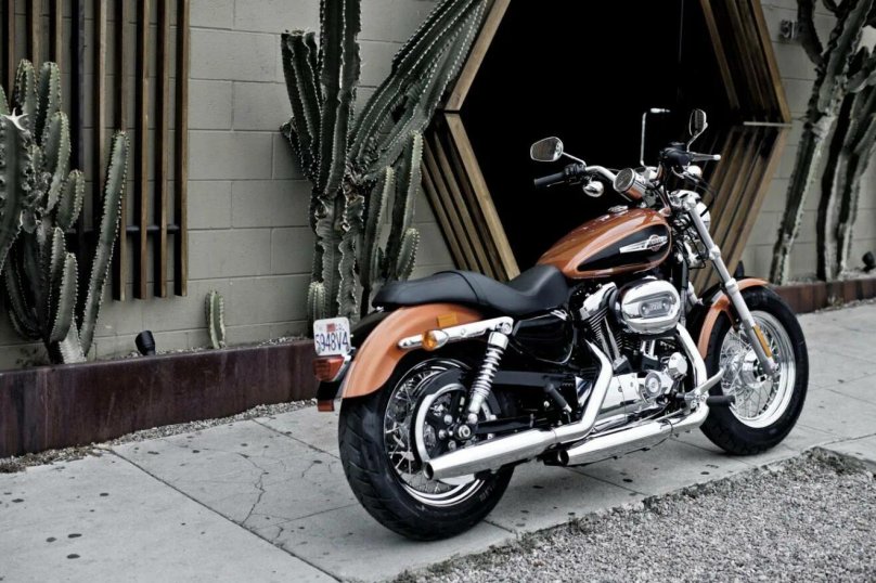 Harley Davidson Sportster 1200 XL