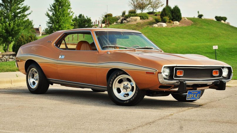 АМС Джавелин