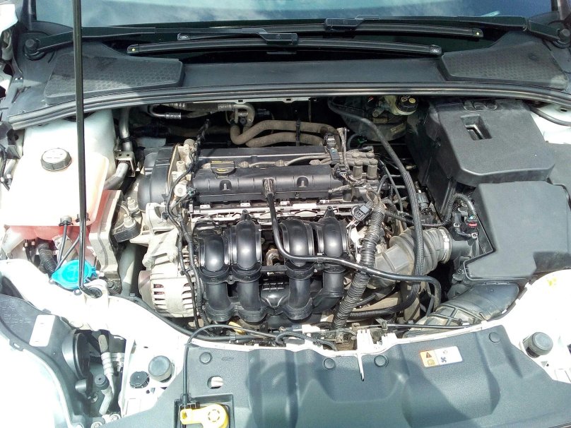 Двигатель Форд фокус 2 1.6 100