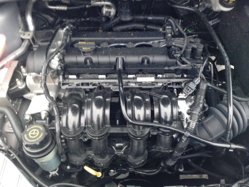 Форд фокус 3 1.6 125