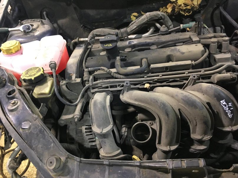 Двигатель 1.4 Форд фокус 2