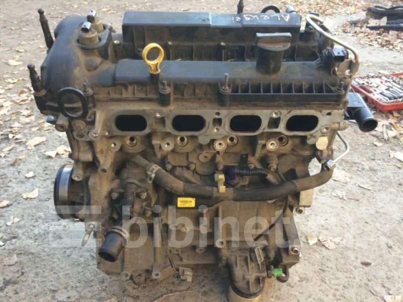 Ford Focus 2 2.0 двигатель