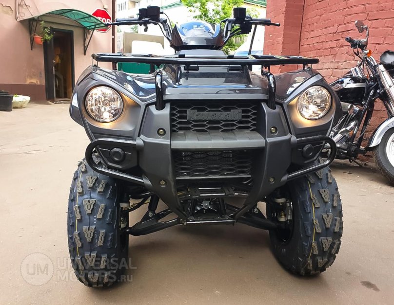 Kawasaki Brute Force 300