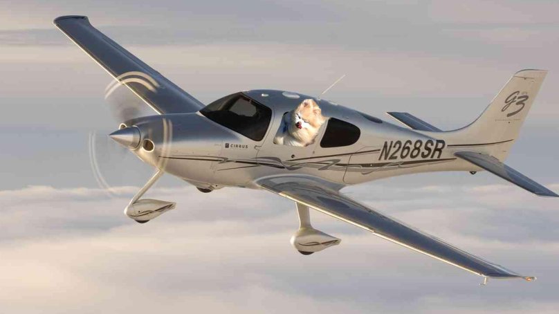 Самолет SR 45