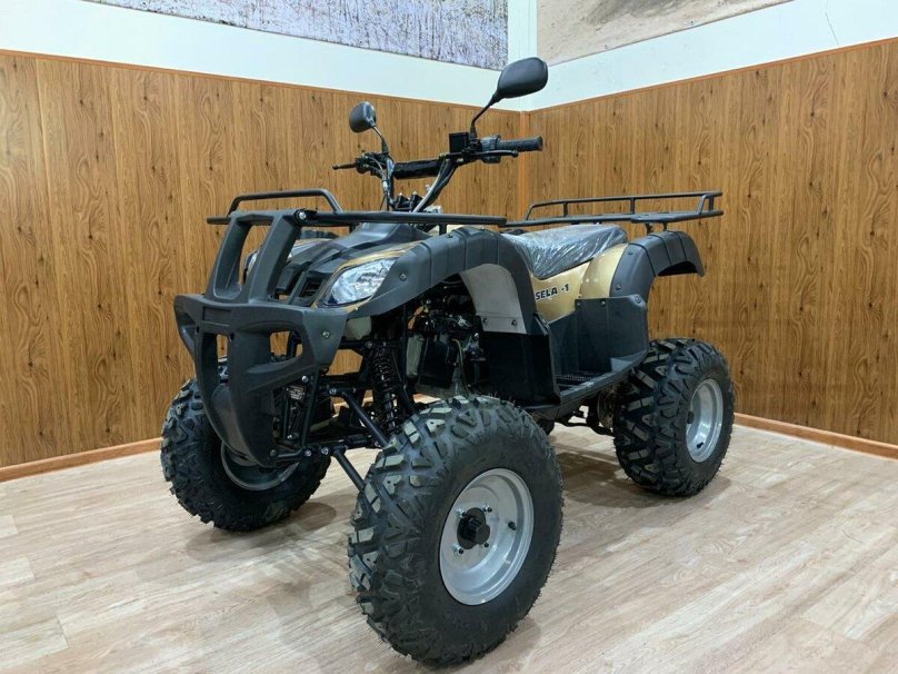 Квадроцикл Yacota Raposa 110 электрика