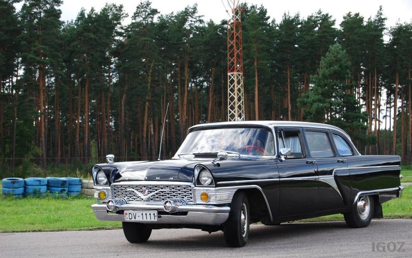 Волга Чайка 13