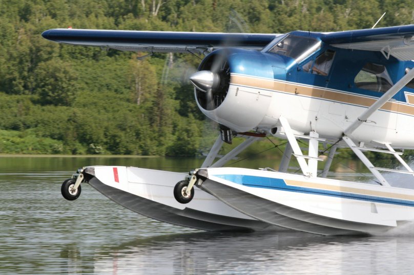 Де Хэвилленд Бивер