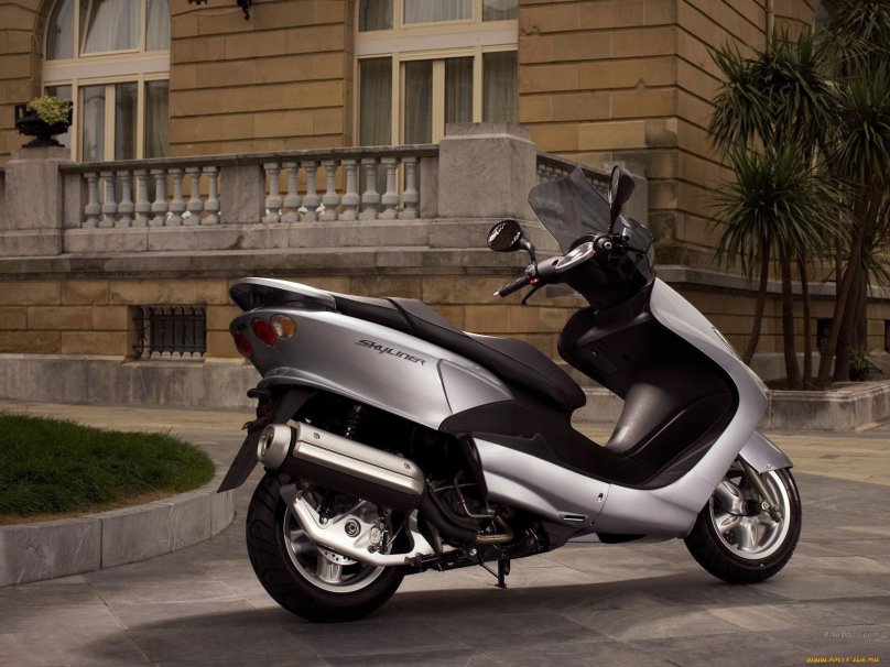 Ямаха Скайлайнер