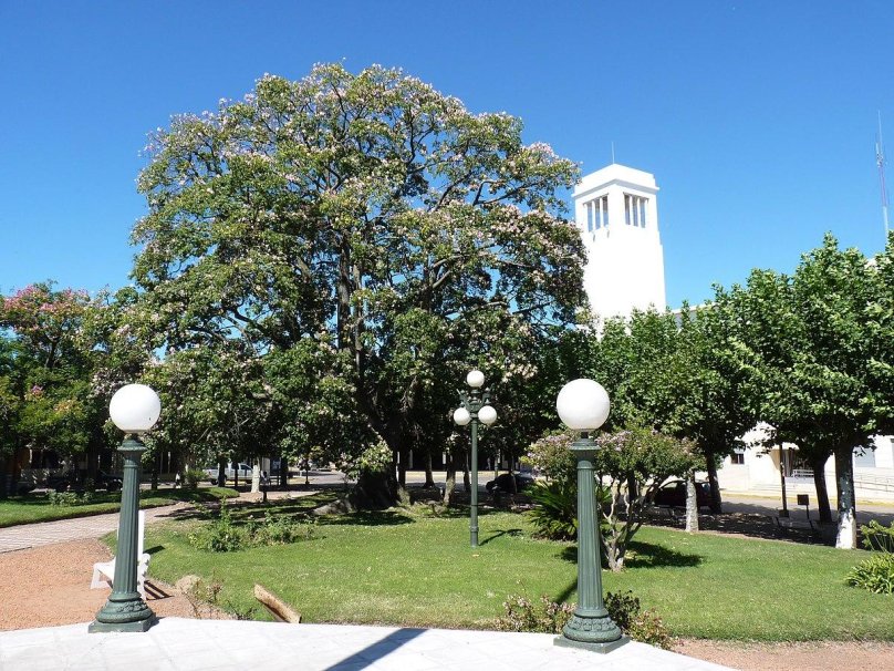 Площадь 25 мая в Аргентине