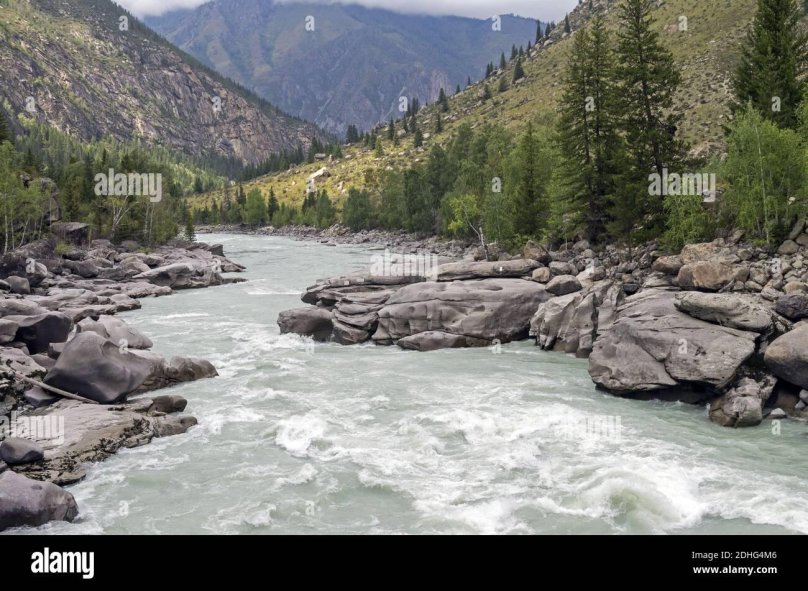 Аргут горный Алтай пороги