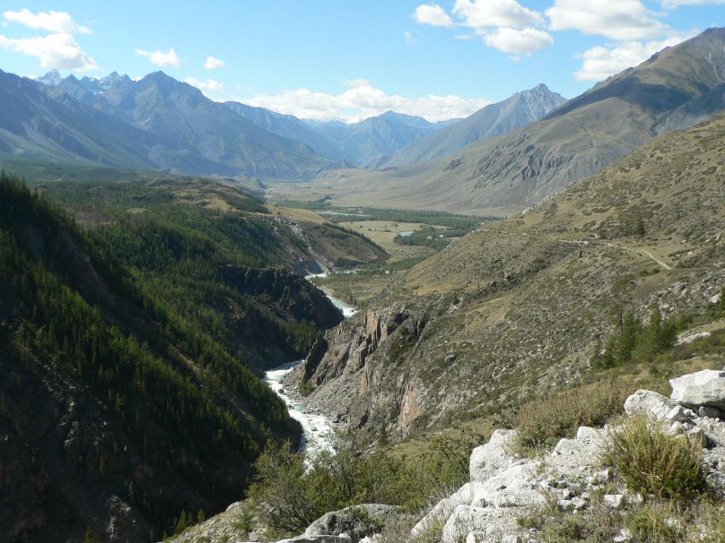 Долина реки Катунь горный Алтай